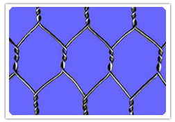 Hexagonal Wire Mesh