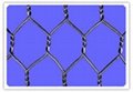 Hexagonal Wire Mesh 1