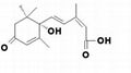 S-(+) Abscisic Acid