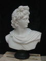 Marble sculpture stone sclpture marble bust 1