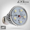 LYS-Q5-1  LED5W光源節能燈 4
