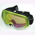 Skiing Goggle 1