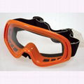 Skiing Goggle 3