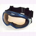 SKI GOGGLE 3