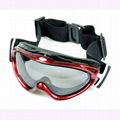 SKI GOGGLE 4