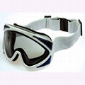 SKI GOGGLE 2