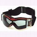 SKI GOGGLE 3