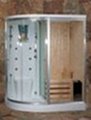 Dry Sauna and Wet Sauna & Steam shower room ISA-581W 2
