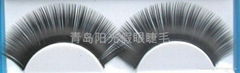 Qingdao Sunlight Eyelash Company Limited