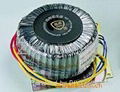 Toroidal Transformer for Medical