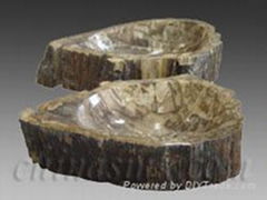 Fossil wood sink