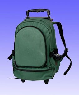 travel bag, laptop case, briefcase, trolley case, backpack,