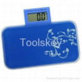 electronic scale body sacle pocket scale