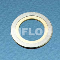 Hastlloy Spiral wound gasket with inner ring