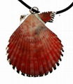 galvanic sea shell pendants