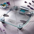 Body Fat and Water Scale TH837 1