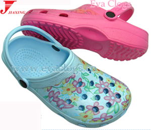 holley clogs 5