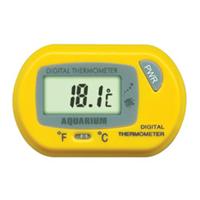 digital thermometer