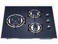 Built-in Gas Stove 1