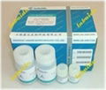 BCA蛋白质含量测定试剂盒 1