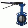 Butterfly Valve