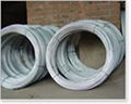 Galvanized Wire