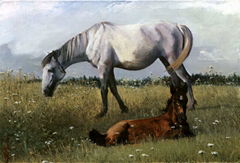 animal oil painting