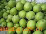 apples, green apple, Gala apple,fresh Su pear, 3