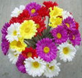 Different Quality Artificial Flowers 2