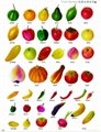 Various of Artificial Fruits 1