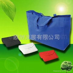 Non woven shopping Bag