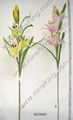 artificial flower