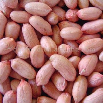 peanuts kernels（long shape）