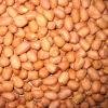 peanuts kernel(round)