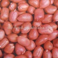 peanuts kernels(four red skin)