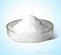 SODIUM CARBOXY METHYL CELLULOSE