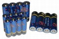 Alkaline battery