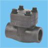 check valve