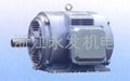 Yseries(IP23) motors