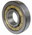 Cylindrical Roller Bearing