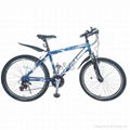 adult mountain bike 1