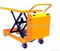 Supply WPD electronic hydraulic platform car  1