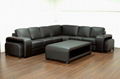 WeiTao's leather sofa 2