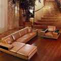 WeiTao's leather sofa 4