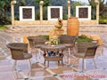 Garden Furniture Set(C-748, F-328)