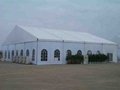 party tent 4