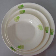 plastic plate