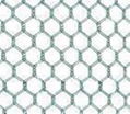 hexagonal wire mesh