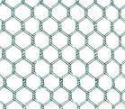 hexagonal wire mesh