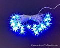 christmas/ LED string light, decoration